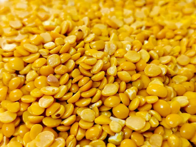 Kandi Pappu (Shreya Gold)