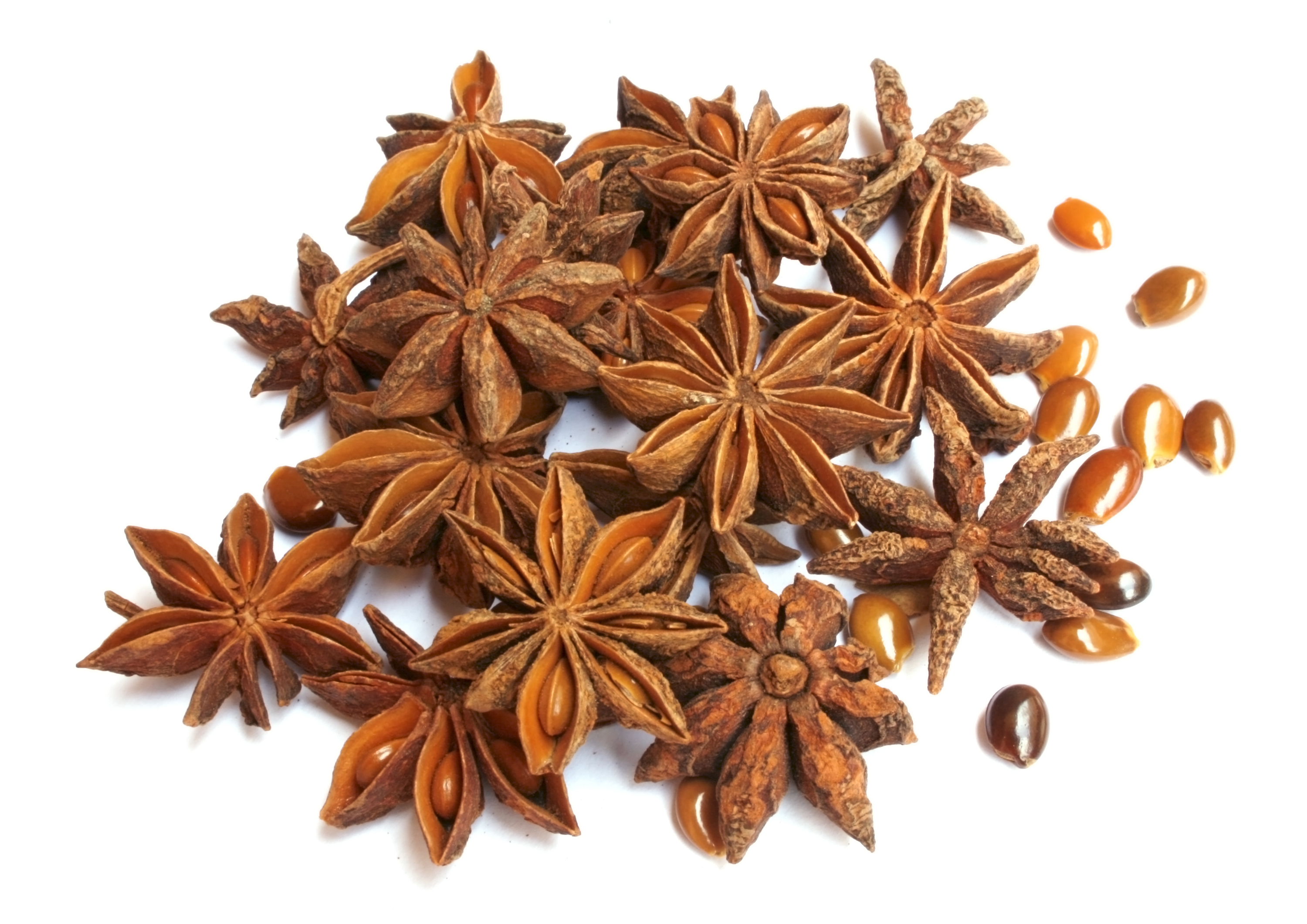 Star Anasa
